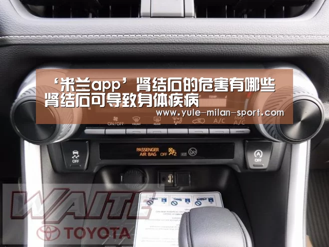 ‘米兰app’肾结石的危害有哪些 肾结石可导致身体疾病(图2) 米兰app