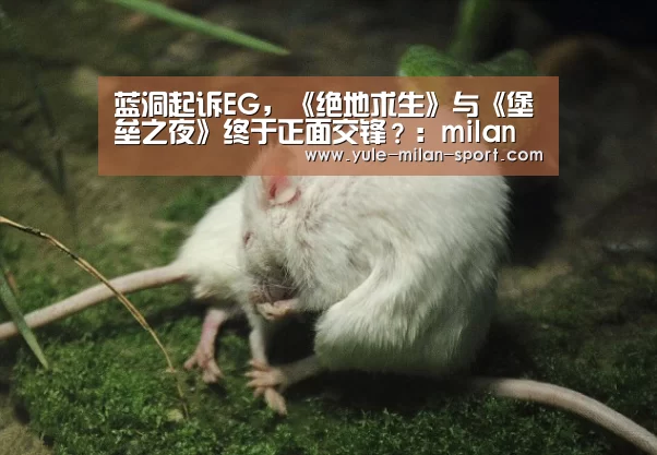 蓝洞起诉EG,《绝地求生》与《堡垒之夜》终于正面交锋?:milan(图3) 米兰app