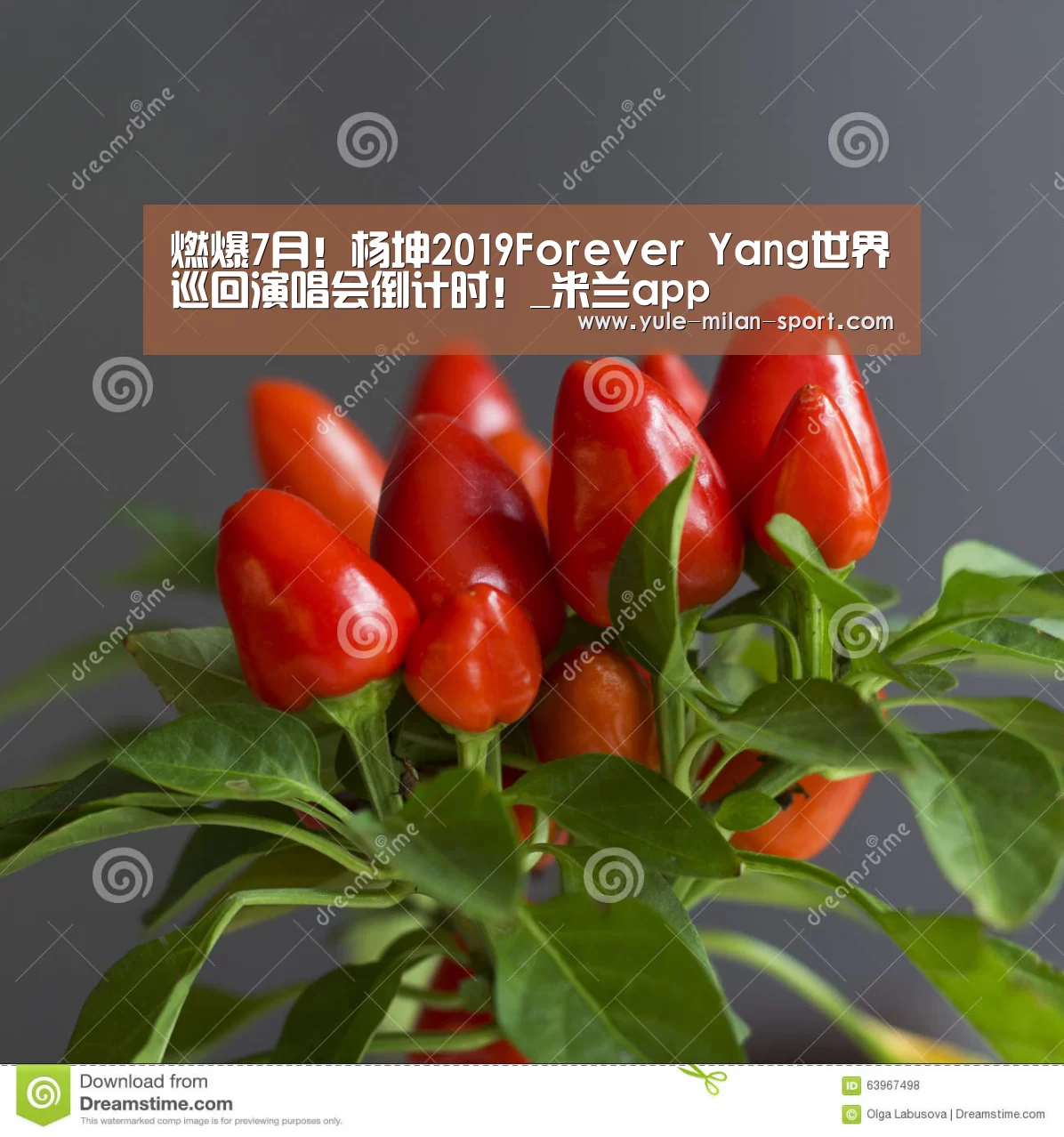燃爆7月!杨坤2019Forever Yang世界巡回演唱会倒计时!_米兰app(图3) 米兰官网