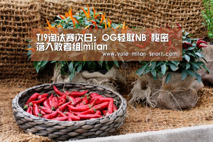 TI9淘汰赛次日:OG轻取NB 秘密落入败者组|milan(图1) 米兰俱乐部